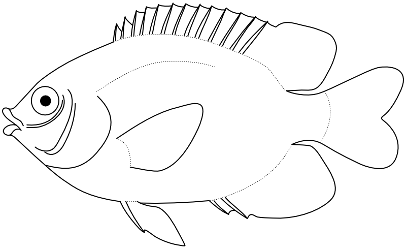 Ilustrace zástupce rodu Cheiloprion