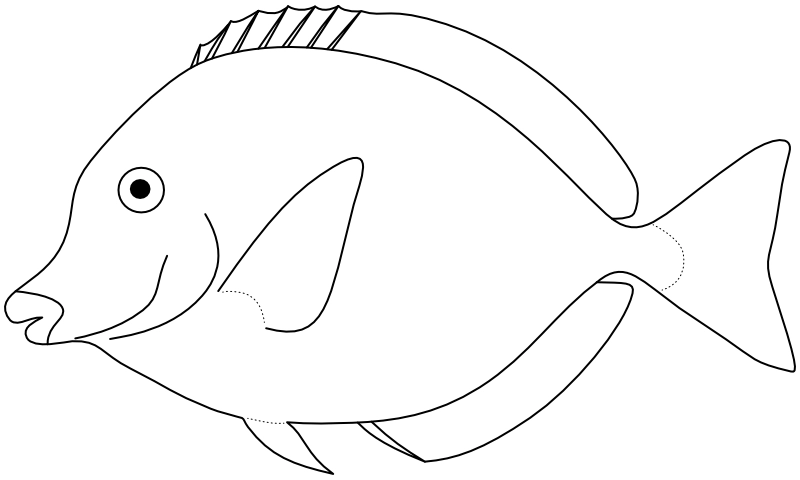 Ilustrace zástupce rodu Prionurus