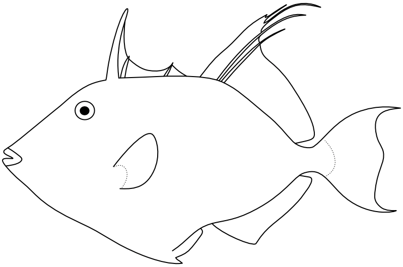 Ilustrace zástupce rodu Balistes