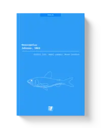 Ilustrace publikace pro rod Neoscopelus